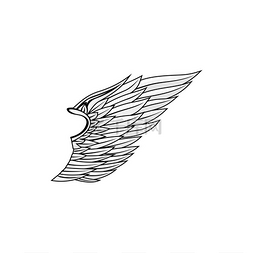黑色羽毛标志图片_天使翅膀孤立的鸟类羽毛矢量猎鹰