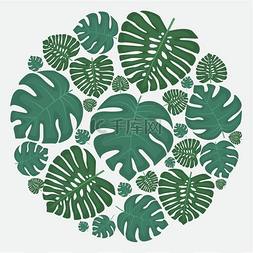 棕榈叶装饰棕榈叶装饰的矢量插图
