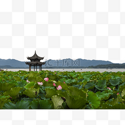 杭州西湖全景图片_杭州西湖曲院风荷荷花