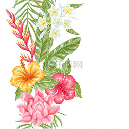 芙蓉王香烟图片_与热带花卉和树叶的无缝模式。