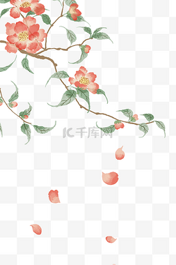 中国风水彩花朵树木