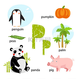 企鹅图片_矢量插图教学儿童英语字母表与卡