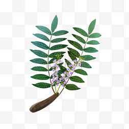 绿色的树木图形图片_乳香锯齿水彩树木紫色小花