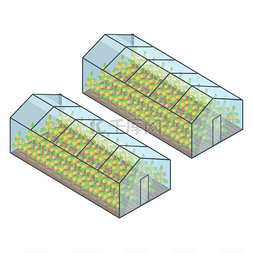 等距矢量图中有黄色生长植物的两