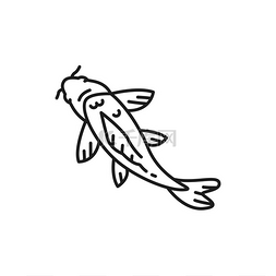 日本锦鲤锦鲤图片_中国鲤鱼传统东方鱼孤立的细线图