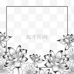 线稿荷花图片_正方形手绘线稿荷花花卉边框