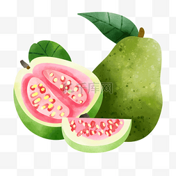 水果季节图片_番石榴水彩水果切开粉色果肉