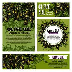 橄榄油素描横幅边框为绿色橄榄果