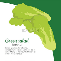 绿色沙拉横幅健康食品概念矢量绿