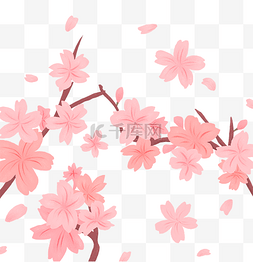 春天粉色樱花季赏樱花