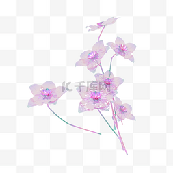 花图片_3DC4D立体酸性花朵水仙花