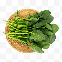 菠菜图片_新鲜蔬菜菠菜食材
