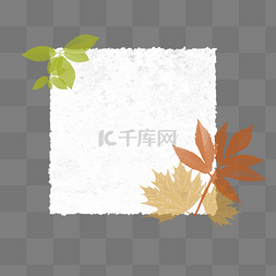 秋天枫叶树叶仿真纸张边框