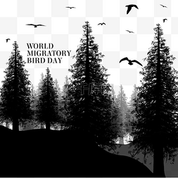小鸟黑白图片_世界候鸟日繁茂树林和小鸟