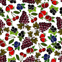 草莓和覆盆子、紫葡萄、黑莓和樱