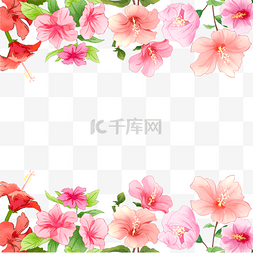 樱花壁纸图片_上下构图花卉木槿花