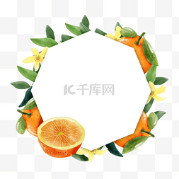 橙子水果自然甜蜜边框