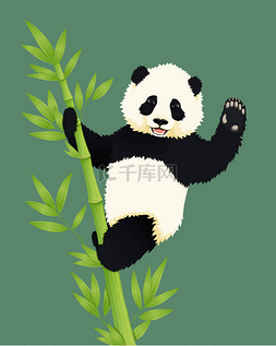 快乐微笑的宝宝大熊猫爬上绿色的