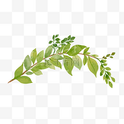 手绘风格女性图片_枝条装饰绿色叶子植物