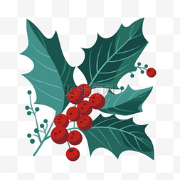 浆果图片_卡通手绘圣诞冬青浆果