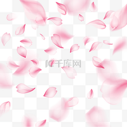 粉色唯美花瓣光效樱花边框