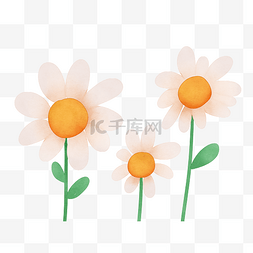 手绘菊花素材图片_白花小菊花