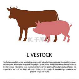 家畜海报与粉红色的猪和牛剪影矢