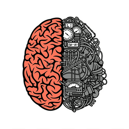大脑机械卡通符号，右半球是解剖