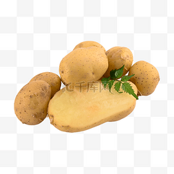 土豆素食自然健康