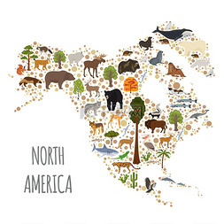 北美洲植物群和动物区系图, 扁平