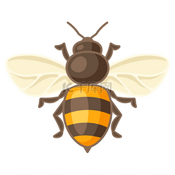 嗡嗡声图片_蜜蜂插图商业食品和农业的形象蜜