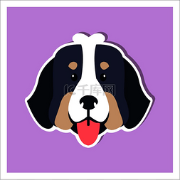 伯尔尼山犬卡通画在紫色背景上的