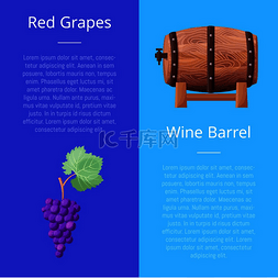 红葡萄和酒桶的图像巨大的浆果和