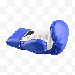 拳套格斗训练保护蓝色
