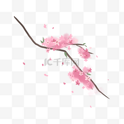 简笔画水彩粉色樱花