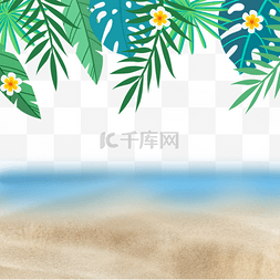 海边沙滩边框图片_夏季海边沙滩树叶植物