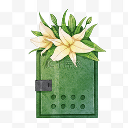 邮箱绿色水彩百合花