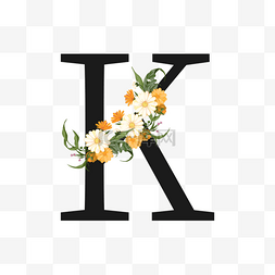 黄白色菊花花卉装饰黑色k字母