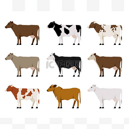 牛奶牛平图标。最受欢迎的牛.