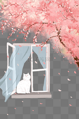 窗台墙壁图片_春季樱花窗台猫咪