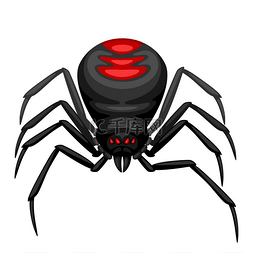 黑寡妇蜘蛛图标。