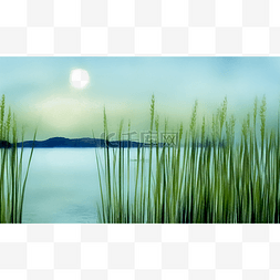 月光下的水草