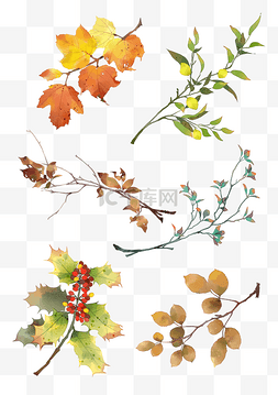 枫叶树枝素材图片_唯美水彩手绘枯叶树枝手账贴纸合