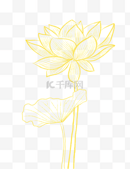 金箔线描图片_金箔线描夏天夏季荷花花朵花线条