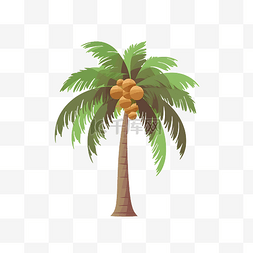 椰子树卡通椰子树图片_卡通热带椰子树植物手绘
