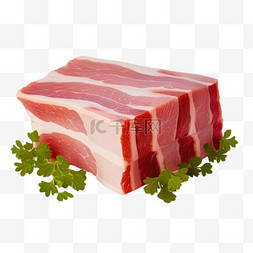 猪肉手绘卡通图片_卡通手绘生鲜猪肉