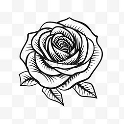 线条玫瑰花图片_简约黑白线条玫瑰花图案