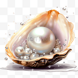 贝壳珍珠海洋元素装饰