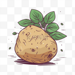 马铃薯插画图片_手绘插画风免抠元素马铃薯