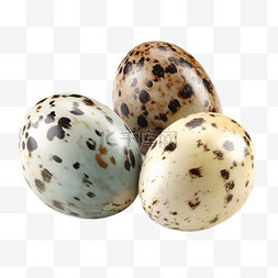 蛋类图片_卡通手绘鹌鹑蛋蛋类